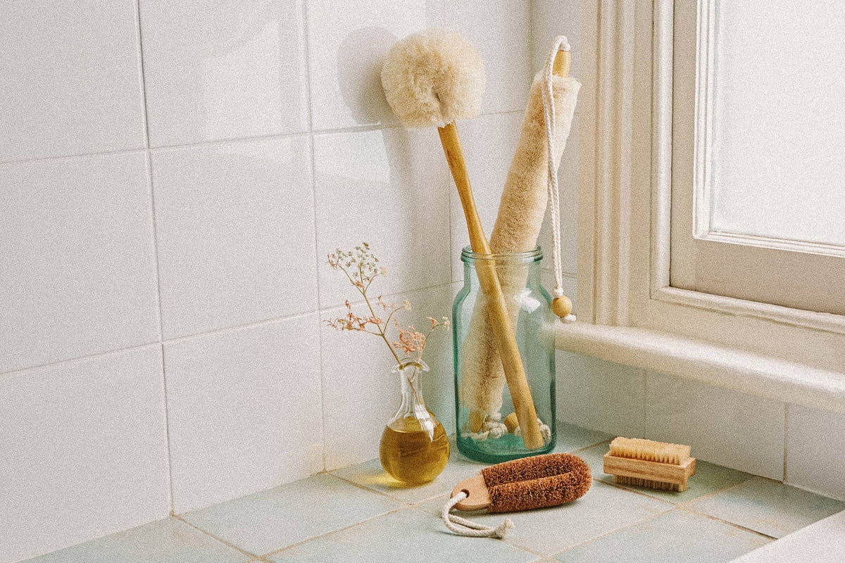 Back Wet or Dry Body Brush w/Handle All Natural