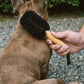 Wash & Groom Pet Brush - Perfect for Dogs & Cats