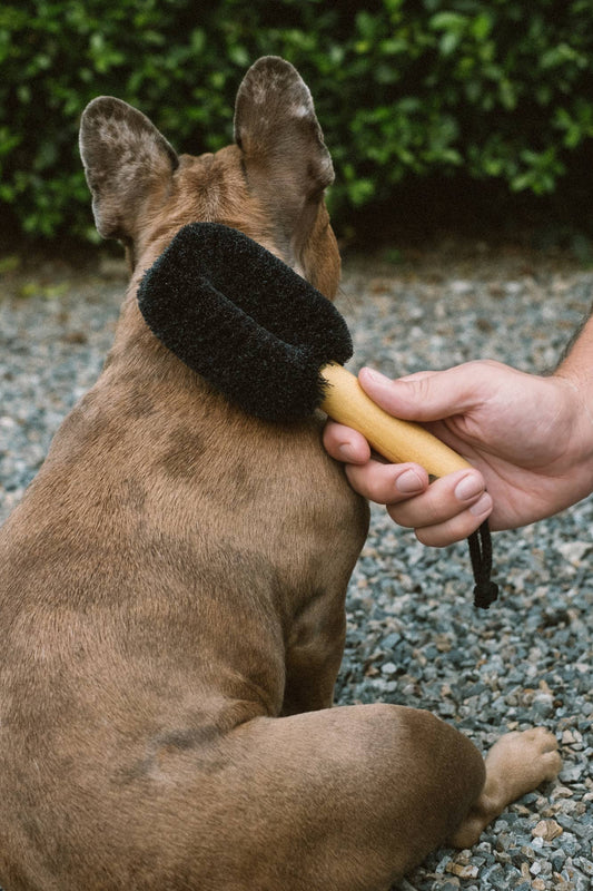 Wash & Groom Pet Brush - Perfect for Dogs & Cats