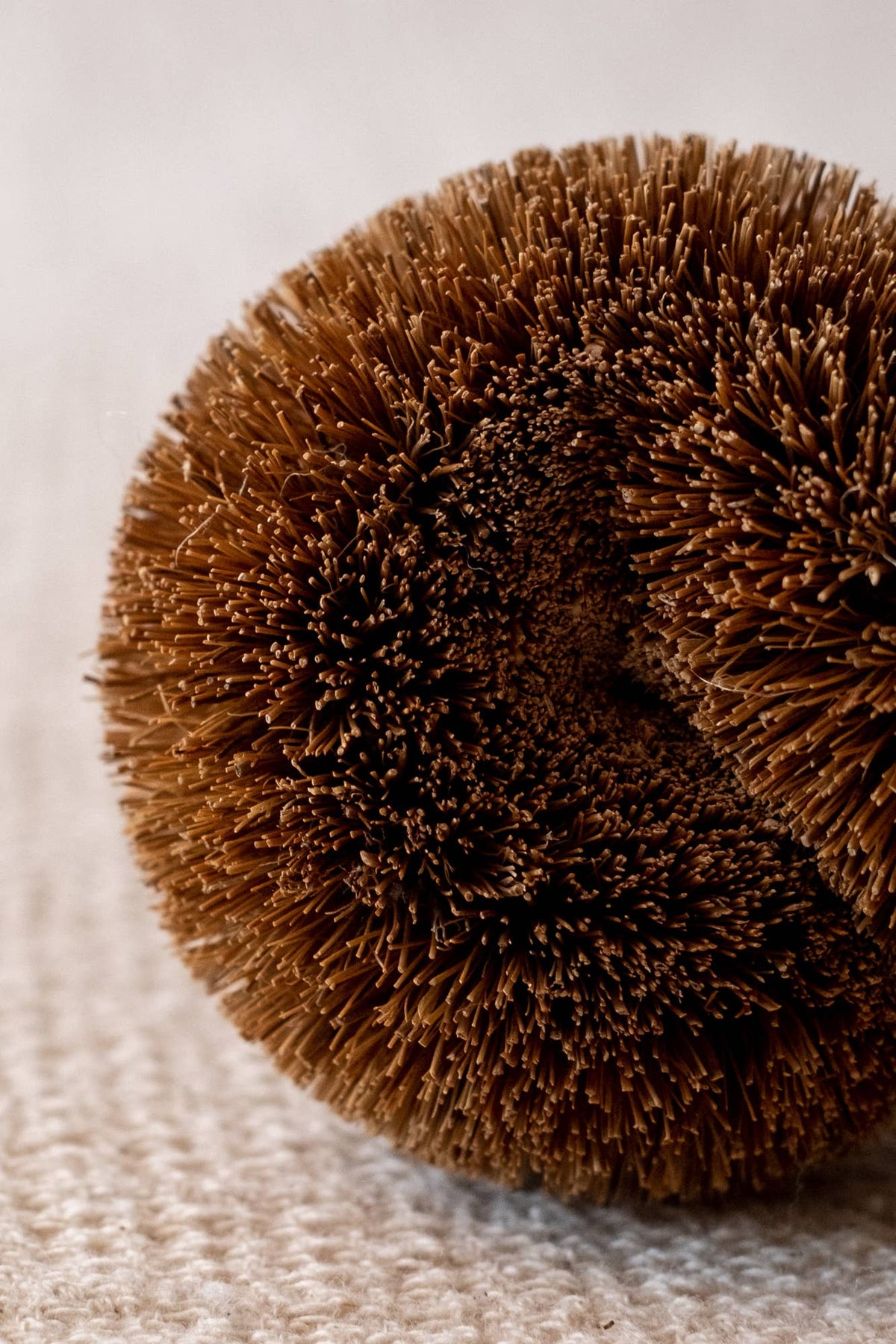 Twisted Scourer - 100% Natural Coconut Fiber