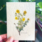 Marissa Kay Apothecary - Plantable Seed Card || Zero Waste || Supports Women MVW31 Marissa Kay Apothecary