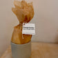 Hand Poured Soy Wax Candle Refills Evergreen Collective