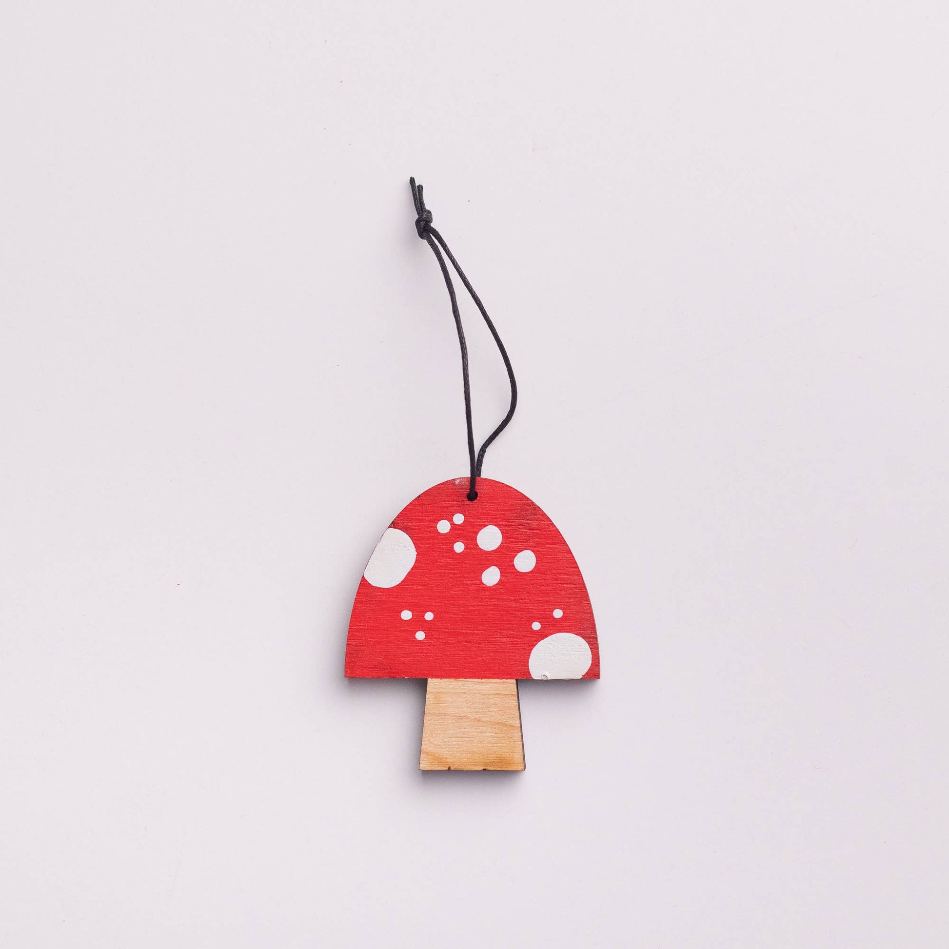 Painted Mushroom ornament (flat) Collin Garrity