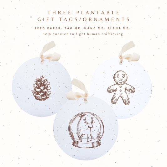 Plantable Seed Gift Tags / Ornaments Set of 3: Winter Woodsy Paper Baristas