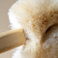 Back Wet or Dry Body Brush w/Handle All Natural