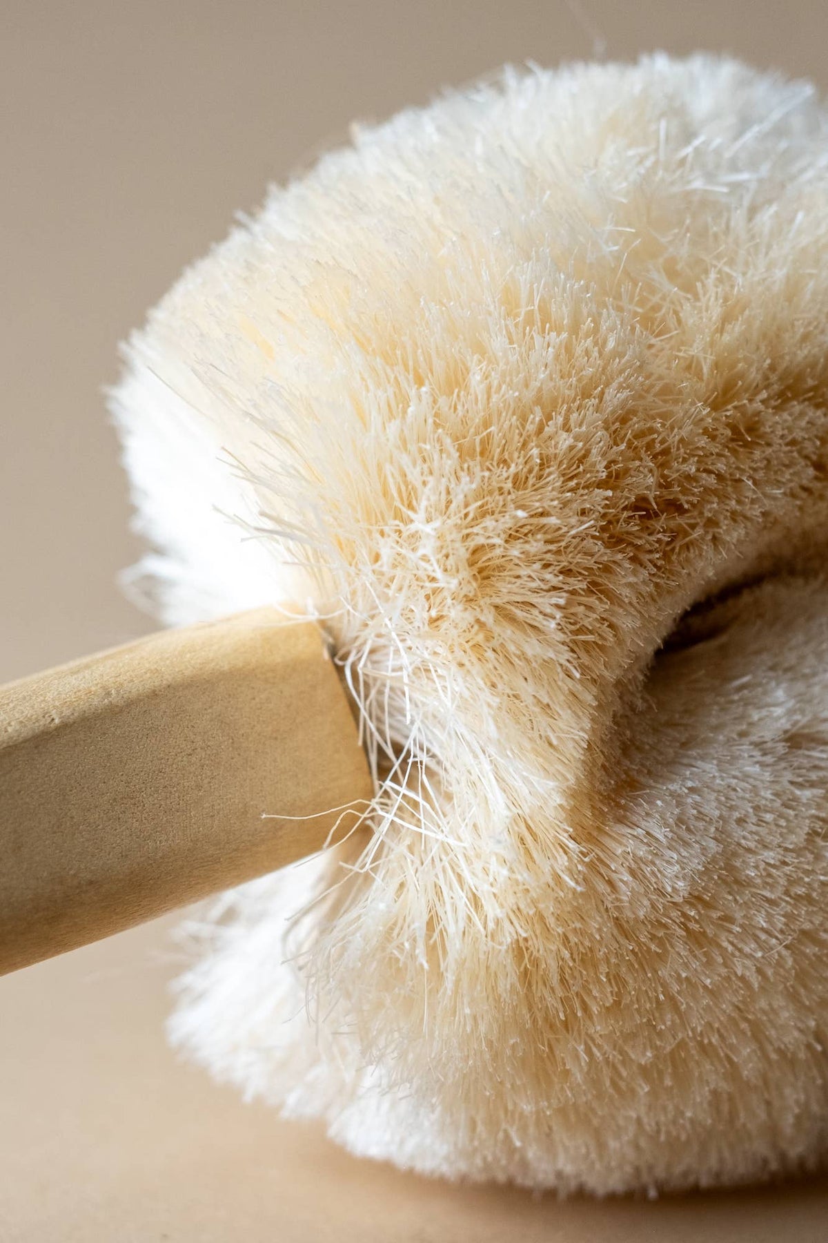 Back Wet or Dry Body Brush w/Handle All Natural