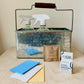 Cleaning Bundle Evergreen Collective 
