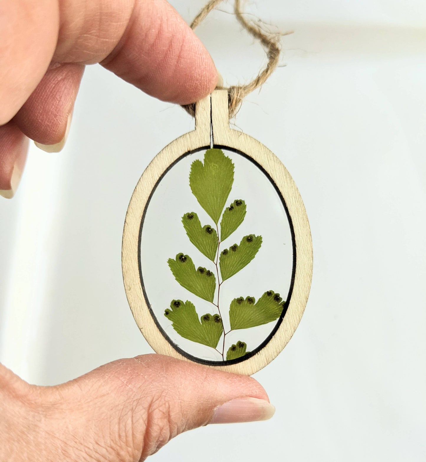 Wood Framed Botanical Ornaments KateeMarie