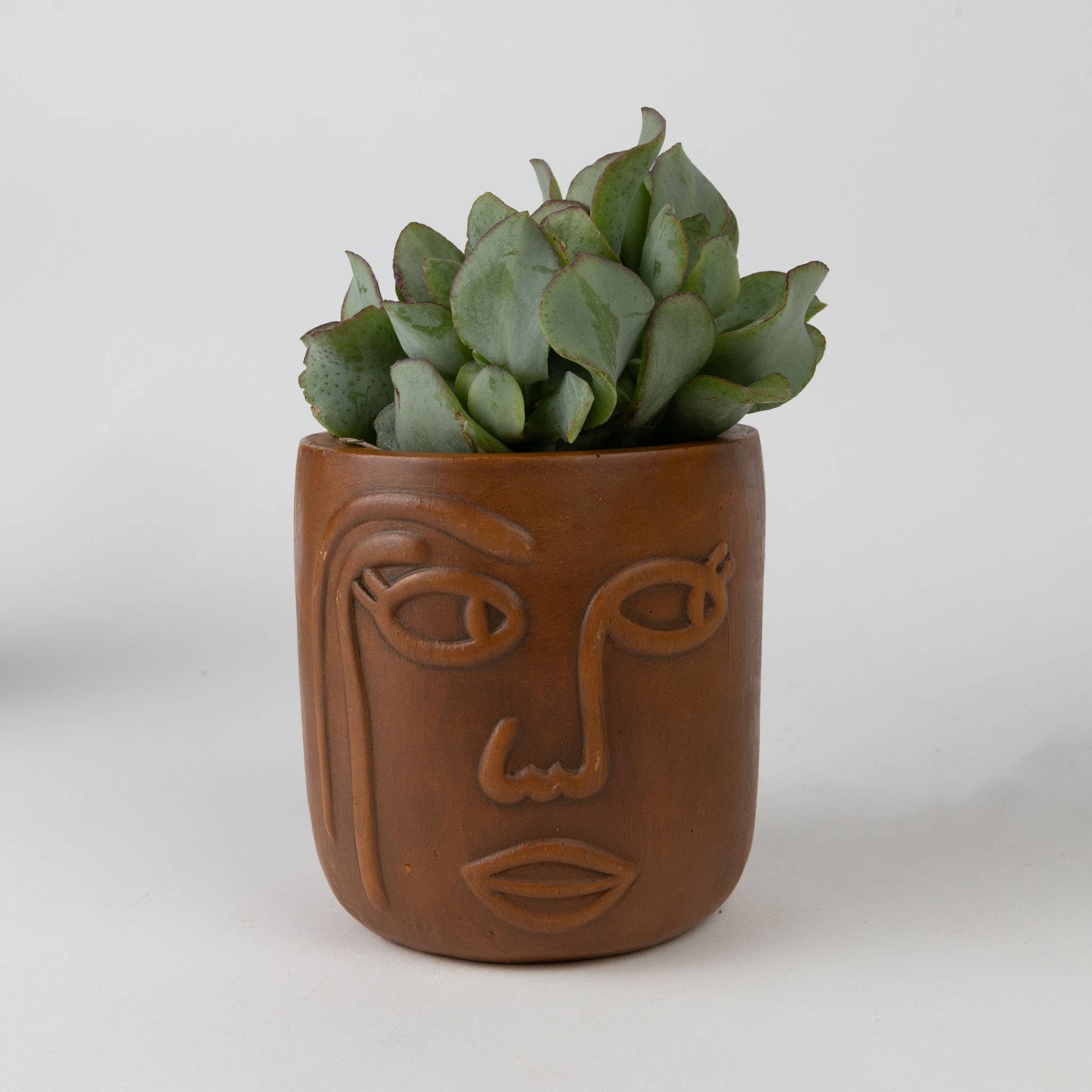 Ten Thousand Villages - Big Brown Eyes Terracotta Face Planter 4" Ten Thousand Villages