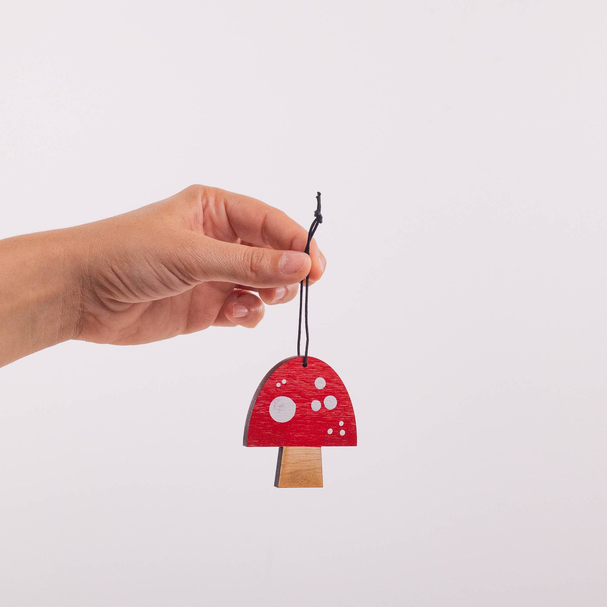 Painted Mushroom ornament (flat) Collin Garrity