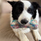 Eco Wool Dog Bones/Toys Tie-Dyed (Fair Trade) Ethical Global
