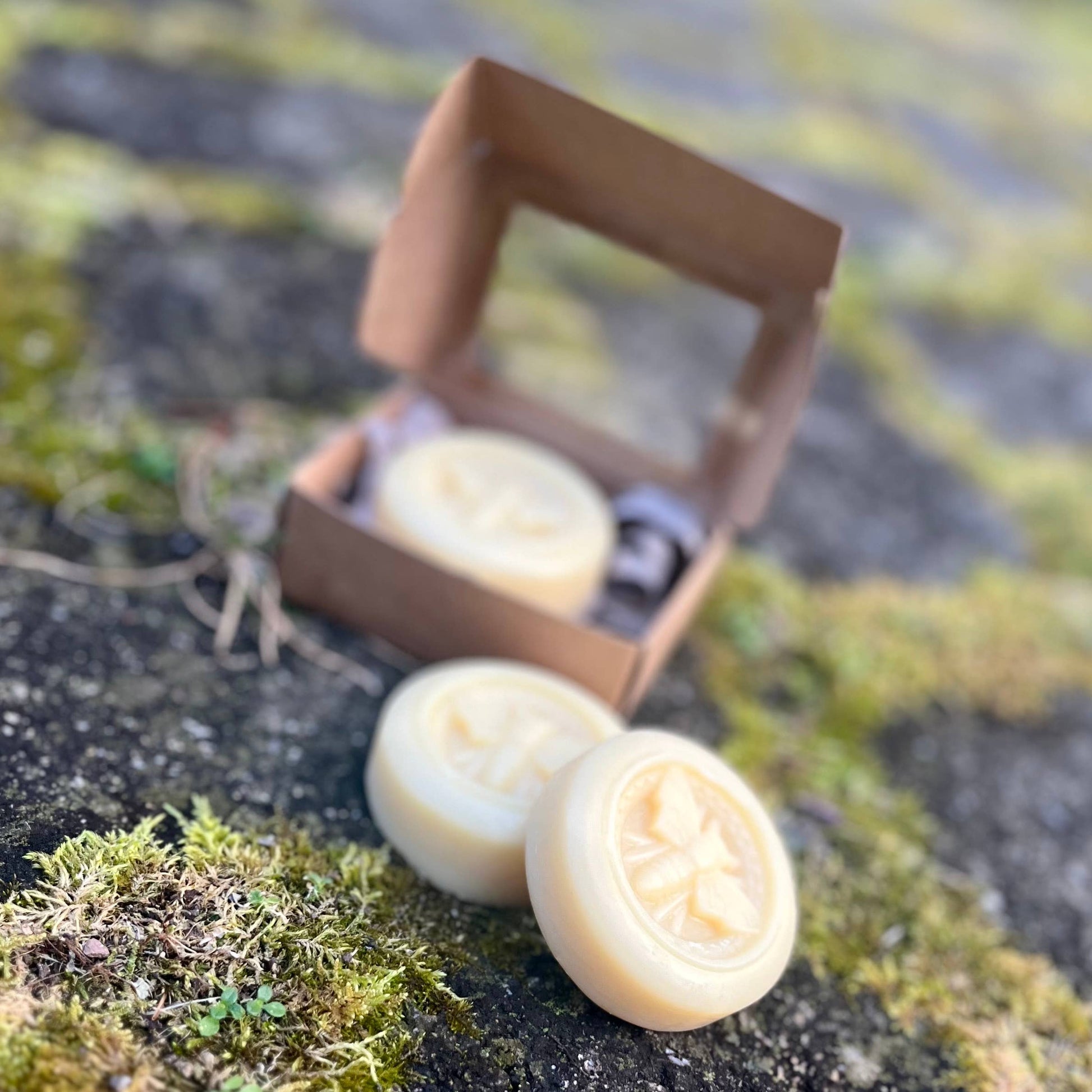 Just Honest - Handmade Beeswax Melts: Lavender Honey Just Honest